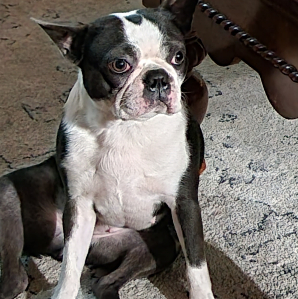 Meet your Posher, Brandi